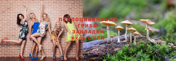стафф Ростов