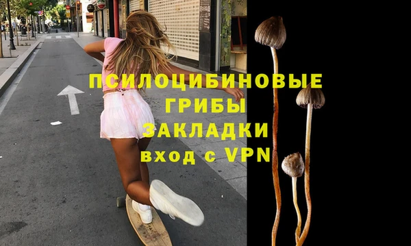 индика Россошь