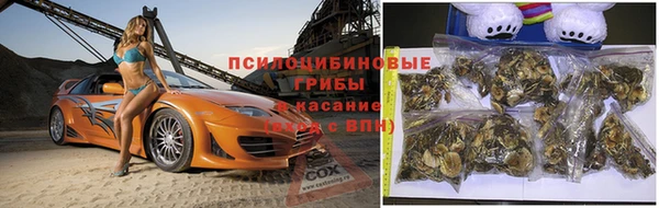 спиды Алексин
