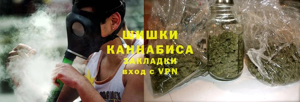 индика Россошь
