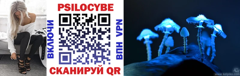 Псилоцибиновые грибы GOLDEN TEACHER купить наркоту Сухиничи